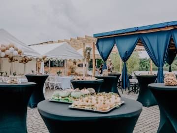 Delta Audio Entertainment